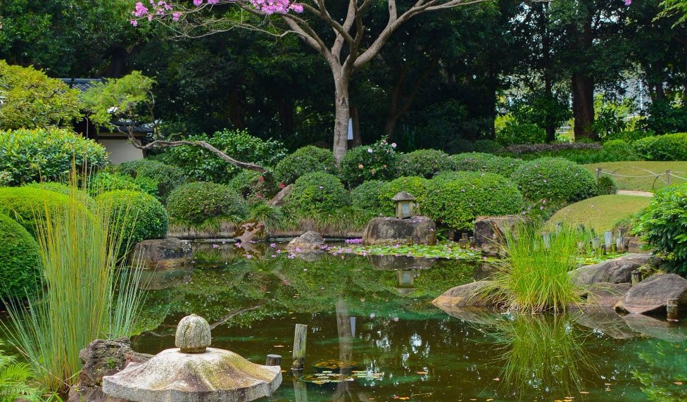 Brisbane Botanic Gardens Mt Coot-tha, Australia